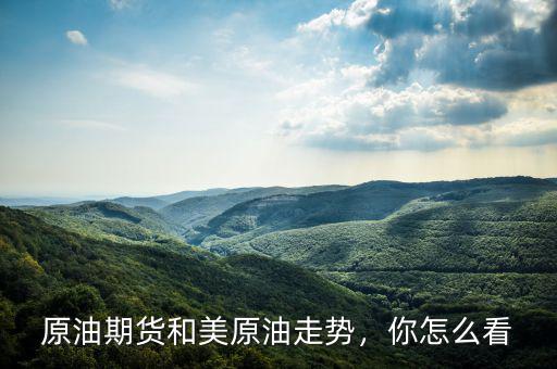 原油期貨和美原油走勢(shì)，你怎么看