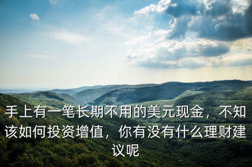 手上有一筆長期不用的美元現(xiàn)金，不知該如何投資增值，你有沒有什么理財建議呢