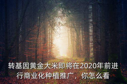 轉(zhuǎn)基因黃金大米即將在2020年前進行商業(yè)化種植推廣，你怎么看
