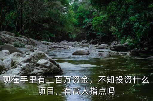 現(xiàn)在手里有二百萬資金，不知投資什么項(xiàng)目，有高人指點(diǎn)嗎