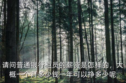 請問普通銀行柜員的薪資是怎樣的，大概一個月多少錢一年可以掙多少呢