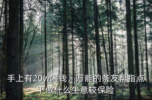 手上有20w閑錢，萬(wàn)能的條友幫指點(diǎn)下做什么生意較保險(xiǎn)