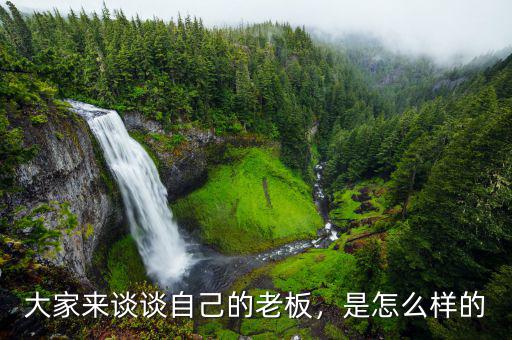 大家來(lái)談?wù)勛约旱睦习?，是怎么樣? class=