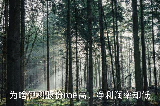 為啥伊利股份roe高，凈利潤(rùn)率卻低