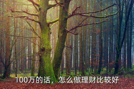 100萬的話，怎么做理財比較好