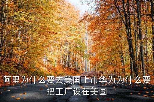 阿里為什么要去美國上市華為為什么要把工廠設在美國