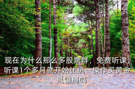 現(xiàn)在為什么那么多股票群，免費聽課，聽課1個多月就開始讓統(tǒng)一操作買黃金，是騙局嗎