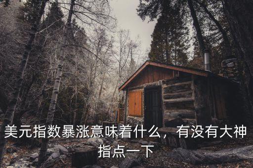 美元指數(shù)暴漲意味著什么，有沒(méi)有大神指點(diǎn)一下
