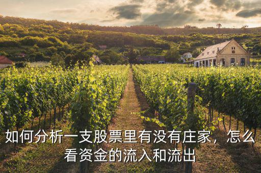 如何分析一支股票里有沒有莊家，怎么看資金的流入和流出