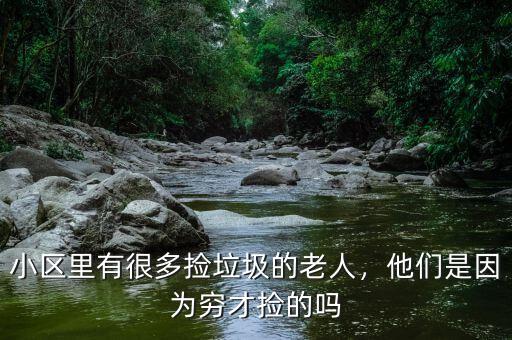 小區(qū)里有很多撿垃圾的老人，他們是因?yàn)楦F才撿的嗎