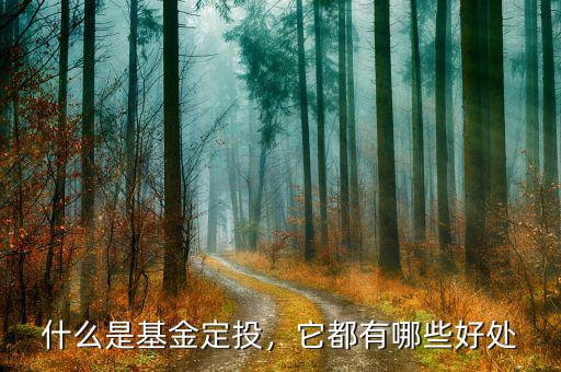 什么是基金定投，它都有哪些好處