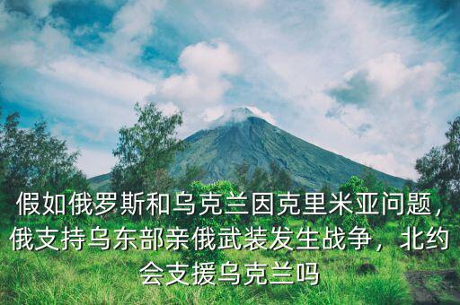 假如俄羅斯和烏克蘭因克里米亞問題，俄支持烏東部親俄武裝發(fā)生戰(zhàn)爭，北約會(huì)支援烏克蘭嗎