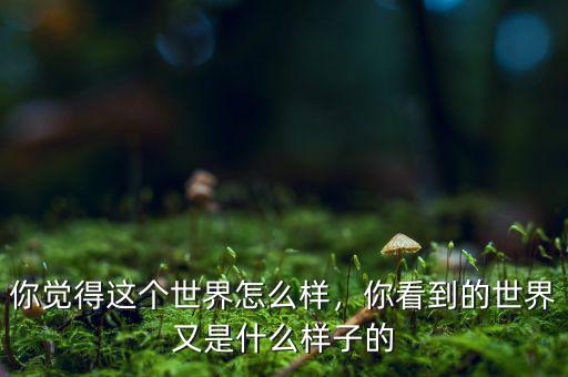 你覺得這個世界怎么樣，你看到的世界又是什么樣子的