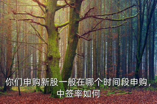 你們申購(gòu)新股一般在哪個(gè)時(shí)間段申購(gòu)，中簽率如何