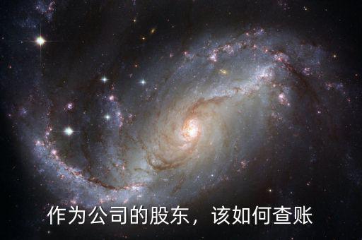 作為公司的股東，該如何查賬