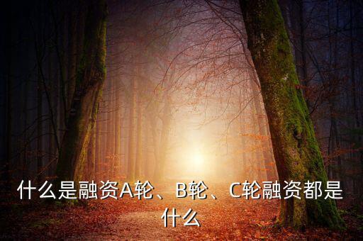 什么是融資A輪、B輪、C輪融資都是什么