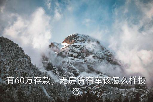 有60萬存款，無房貸有車該怎么樣投資