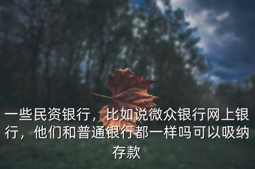 一些民資銀行，比如說微眾銀行網(wǎng)上銀行，他們和普通銀行都一樣嗎可以吸納存款