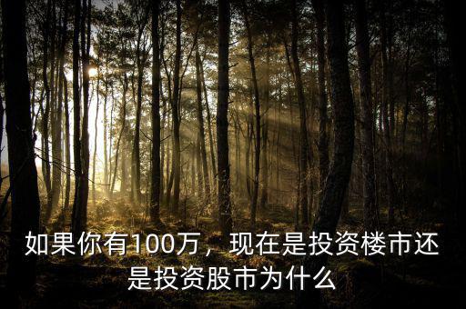 如果你有100萬，現(xiàn)在是投資樓市還是投資股市為什么