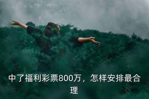中了福利彩票800萬(wàn)，怎樣安排最合理