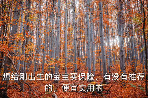 想給剛出生的寶寶買保險，有沒有推薦的，便宜實用的