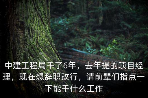中建工程局干了6年，去年提的項目經理，現(xiàn)在想辭職改行，請前輩們指點一下能干什么工作