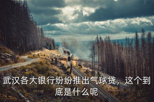 武漢各大銀行紛紛推出氣球貸，這個(gè)到底是什么呢