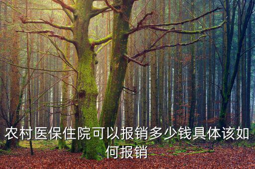 農(nóng)醫(yī)?，F(xiàn)在能報銷多少,具體該如何報銷