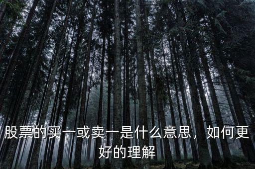 股票的買一或賣一是什么意思，如何更好的理解