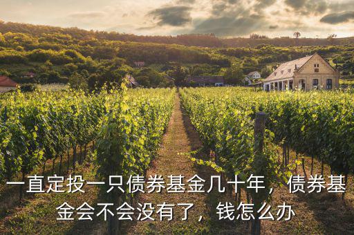 一直定投一只債券基金幾十年，債券基金會(huì)不會(huì)沒(méi)有了，錢(qián)怎么辦