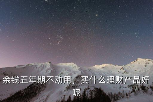 余錢五年期不動用，買什么理財產(chǎn)品好呢
