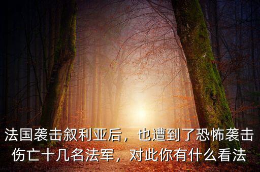 法國襲擊敘利亞后，也遭到了恐怖襲擊傷亡十幾名法軍，對此你有什么看法