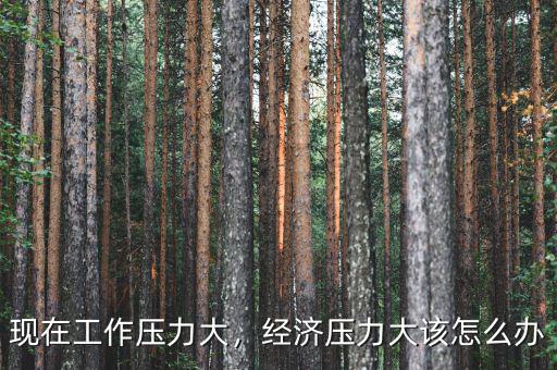 現(xiàn)在工作壓力大，經(jīng)濟壓力大該怎么辦