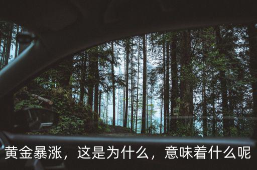 黃金暴漲，這是為什么，意味著什么呢