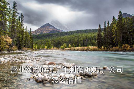 營業(yè)額200萬，年利潤40萬，公司怎么估值