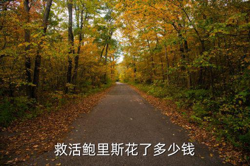 救活鮑里斯花了多少錢(qián)