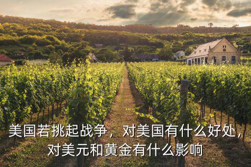 美國若挑起戰(zhàn)爭，對美國有什么好處，對美元和黃金有什么影響