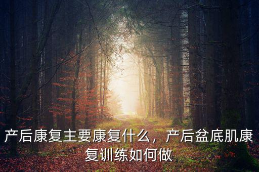 產(chǎn)后康復(fù)主要康復(fù)什么，產(chǎn)后盆底肌康復(fù)訓(xùn)練如何做