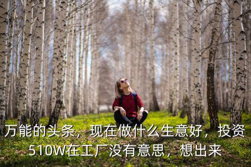 萬(wàn)能的頭條，現(xiàn)在做什么生意好，投資510W在工廠沒有意思，想出來(lái)