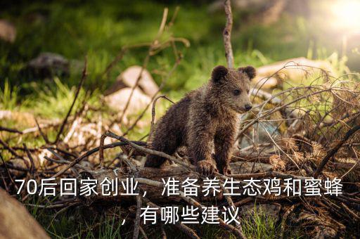 70后回家創(chuàng)業(yè)，準備養(yǎng)生態(tài)雞和蜜蜂，有哪些建議