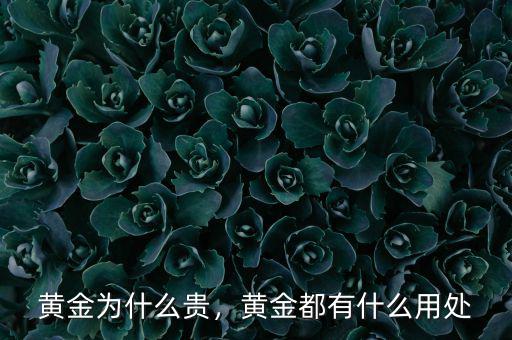 黃金為什么貴，黃金都有什么用處