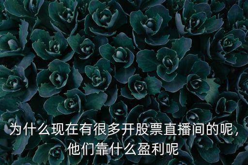 為什么現(xiàn)在有很多開股票直播間的呢，他們靠什么盈利呢