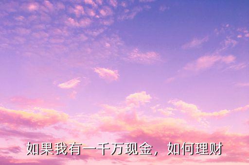 如果我有一千萬現(xiàn)金，如何理財