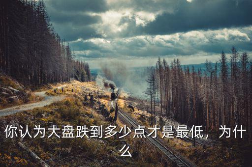 你認(rèn)為大盤(pán)跌到多少點(diǎn)才是最低，為什么