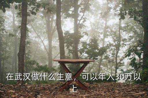 在武漢做什么生意，可以年入30萬以上