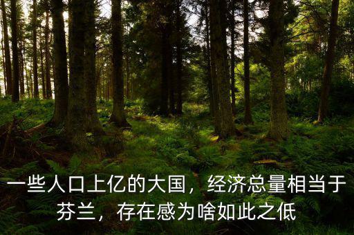 一些人口上億的大國，經(jīng)濟(jì)總量相當(dāng)于芬蘭，存在感為啥如此之低