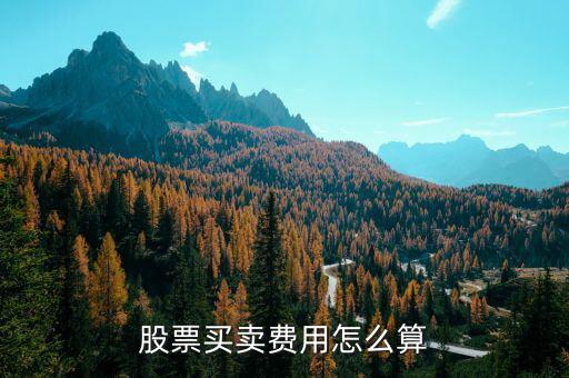 股票費(fèi)用怎么算,股票買(mǎi)賣(mài)費(fèi)用怎么算的