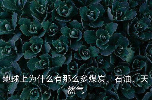 地球上為什么有那么多煤炭、石油、天然氣