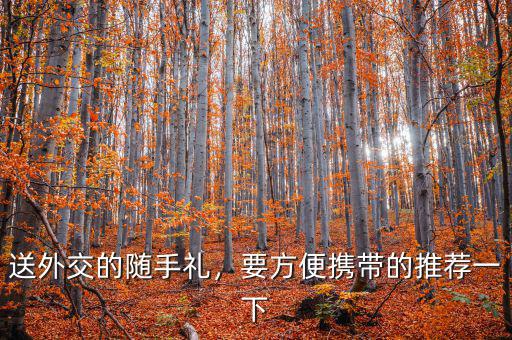 送外交的隨手禮，要方便攜帶的推薦一下