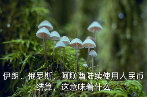 伊朗、俄羅斯、阿聯(lián)酋陸續(xù)使用人民幣結(jié)算，這意味著什么